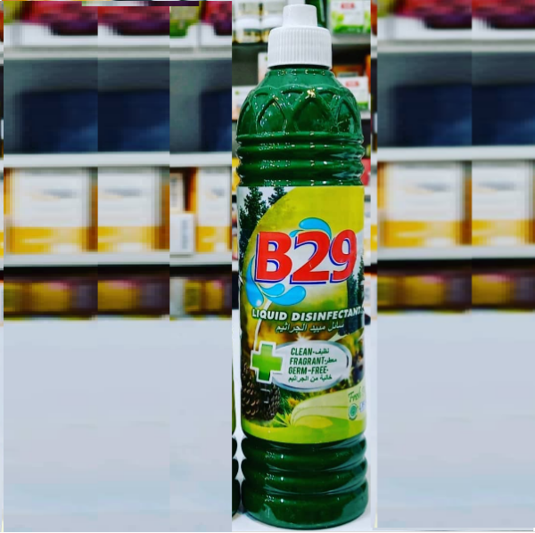 B29 LIQUID DISINFECTANT 800ML