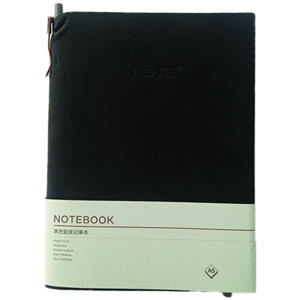 DICAI DIARY NOTEBOOK A5 169-25