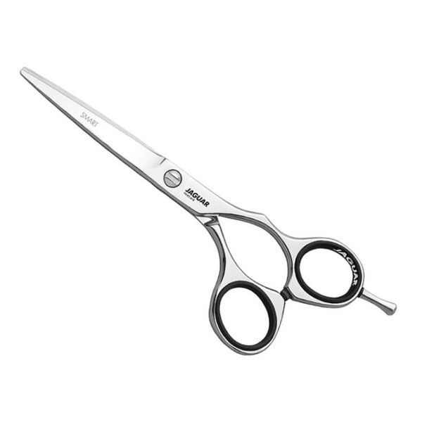 HAIR DRESSING BARBER SCISSORS