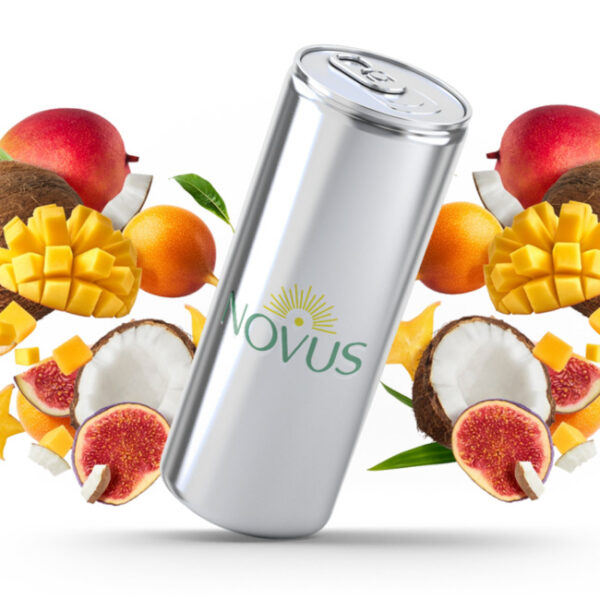 NOVUS ASSORTED COCONUT MILK DRINK 290ML