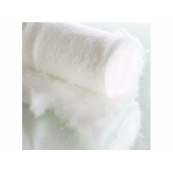 ABSORBENT COTTON WOOL 50G