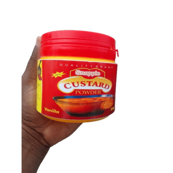 SNAPPLE CUSTARD 300G