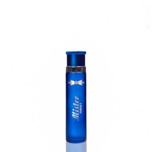 MISTER PERFECT SPRAY 90ML